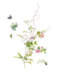 Fototapeta premium watercolor painting of leaves and flower, on white background