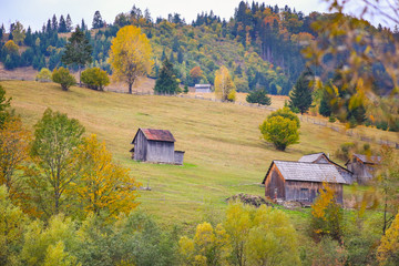 Autumn scenery landscape with colorful forest, wood fence and hay barns in Prisaca Dornei, Suceava County, Bucovina, Romania