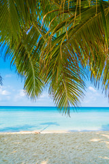Fototapeta premium Beautiful tropical beach and sea