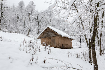 Winter in Talesh, Gilan, Iran