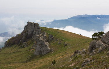 Summer landscape of the southern Crimea RUSSIA.