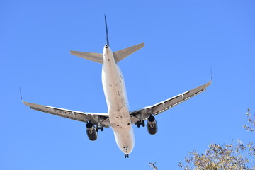 Avión apunto de aterrizar