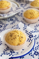 homemade vanilla muffins