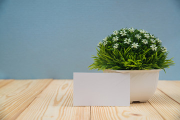 Blank business cards and little decorative tree in white vase on wooden working table with copy space for add text ID. and logo, business company concept.