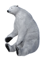 3D Rendering Polar Bear on White