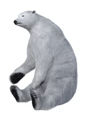 Foto op Canvas 3D Rendering Polar Bear on White © photosvac