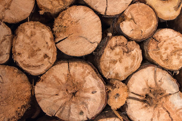 Split trees are in the warehouse for further processing