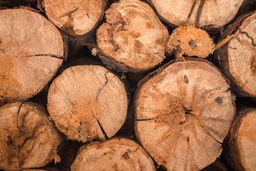 Wood, cut, billet for further processing