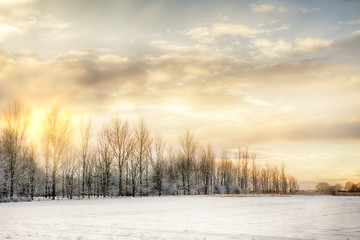 Cold and snow covered landscape on a winters morning with sunrise setting the sky on fire. Bare trees line the horizon and snow fields