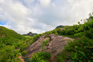 Fototapeta premium Anse major trail, hiking on nature trail of Mahe, Seychelles