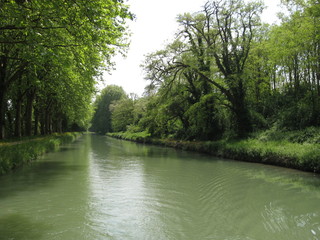 Southern France, side canal of the Garonne river, ( called  Canal lateral a la Garonne ) view of straight canal section with  trees on the banks