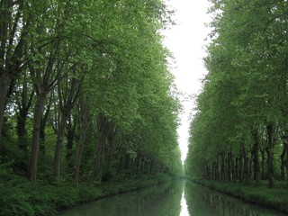 Fototapeta na wymiar Southern France, side canal of the Garonne river, ( called Canal lateral a la Garonne ) view of the canal section with trees on the banks