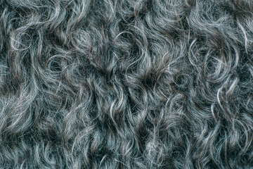 Gary wool texture background, cotton wool, grey  fleece, dark fluffy fur, curly hair, macro shot