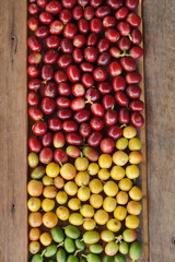  fresh coffee beans for background