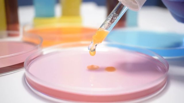 stem cell immunotherapy research researcher doctor laboratory technician using petri dish and colorful substances
