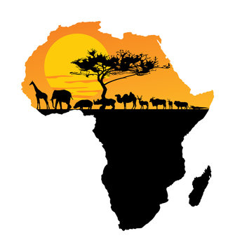 African animals over map of Africa. Safari sunset. Savanna wildlife animals. Big five under acacia tree. Travel invitation card for Africa nature.