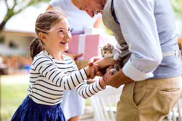 Family celebration or a garden party outside in the backyard.