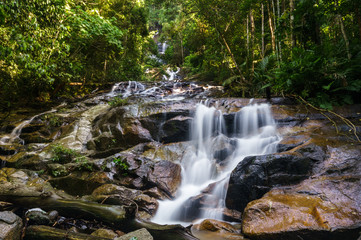 Naklejka na ściany i meble scenery of tropical forest waterfall