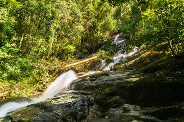 scenery of tropical forest waterfall