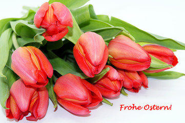 Rote Tulpen freigestellt mit Schriftzug Frohe Ostern