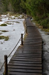 Obraz premium Passerelle sur le Lac de Servières, Auvergne, France
