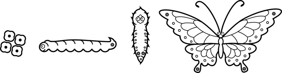 Coloring page. Four stages of butterfly development