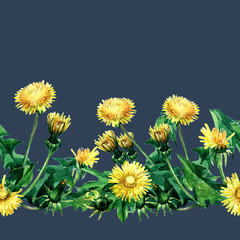 Seamless pattern of dandelion flowers painted in watercolor.