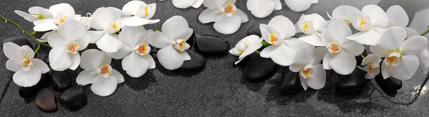Fototapeten Weiße Orchideenblumen und Spa-Steine. © Swetlana Wall