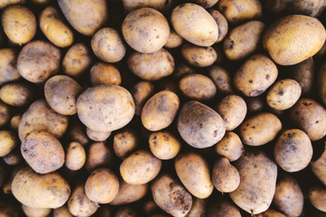 Close up of fresh potatoes.