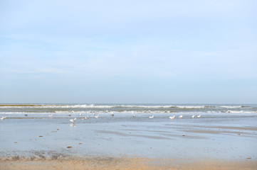 Dutch beach at North sea