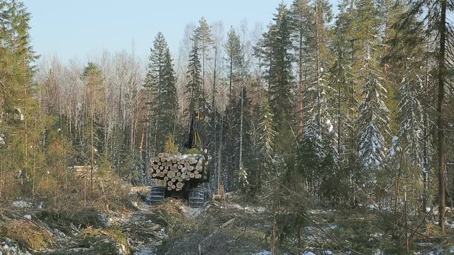 work skidder logging in winter