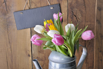 close on tulips in a metal watering can in front of a   slate on wooden background