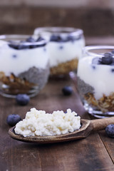 Kefir Grains and Yogurt Parfait