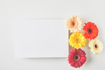 top view of blank card and beautiful tender gerbera flowers on grey