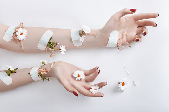 Fashion art hand care and purple flowers grow out of women hands. Flowers grow from under skin sealed with plaster. Creative beauty photo hands, sitting at table contrasting colored shadows