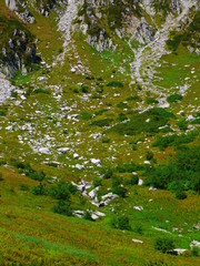 千畳敷カール。中央アルプス。駒ケ根　長野　日本。９月中旬。