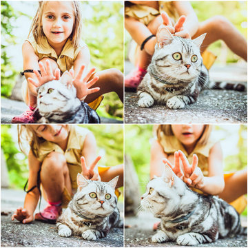 Girl playing with the british cat outdoors
