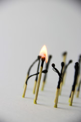 A bunch of burnt and whole matches on a white background