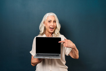 Cute mature old woman showing display of laptop computer pointing.