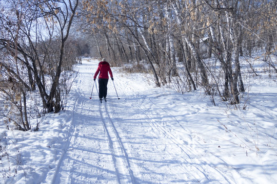 A girl in a red jacket and black pants is skiing. View from the back. Snowy background with skis between trees and copyspace.
