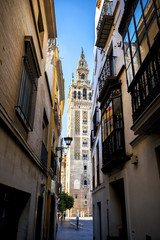 Fototapeta na wymiar The Giralda, bell tower of the Cathedral of Seville in Seville, Andalusia, Spain