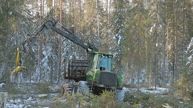 work skidder logging in winter