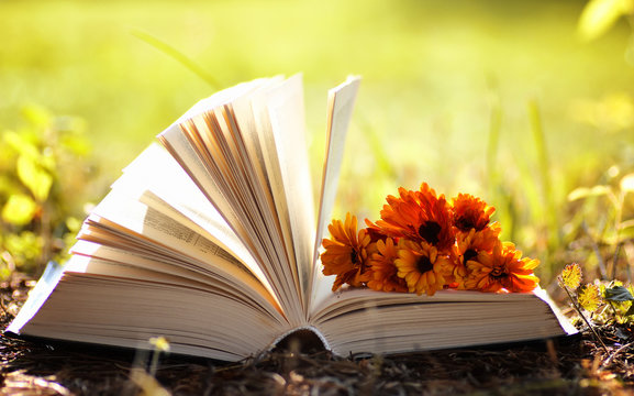 Opened Book In Yellow Autumn 