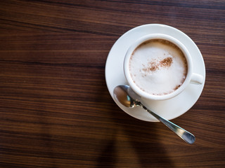 A cup of hot chocolate with milk froth.