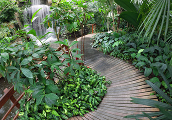 Wooden walkway nature trails in the parks.