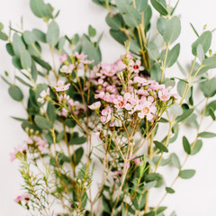 Eucalyptus and wildflower branch. Minimal flower background.