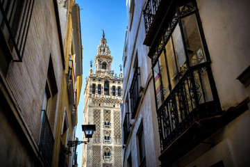 Fototapeta na wymiar The Giralda, bell tower of the Cathedral of Seville in Seville, Andalusia, Spain