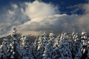 雪の森と雄大な雲