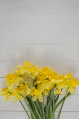 bunch of daffodil flowers on white wooden background, with copy space, Top view