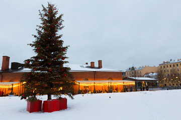 outdoor Christmas lights on trees